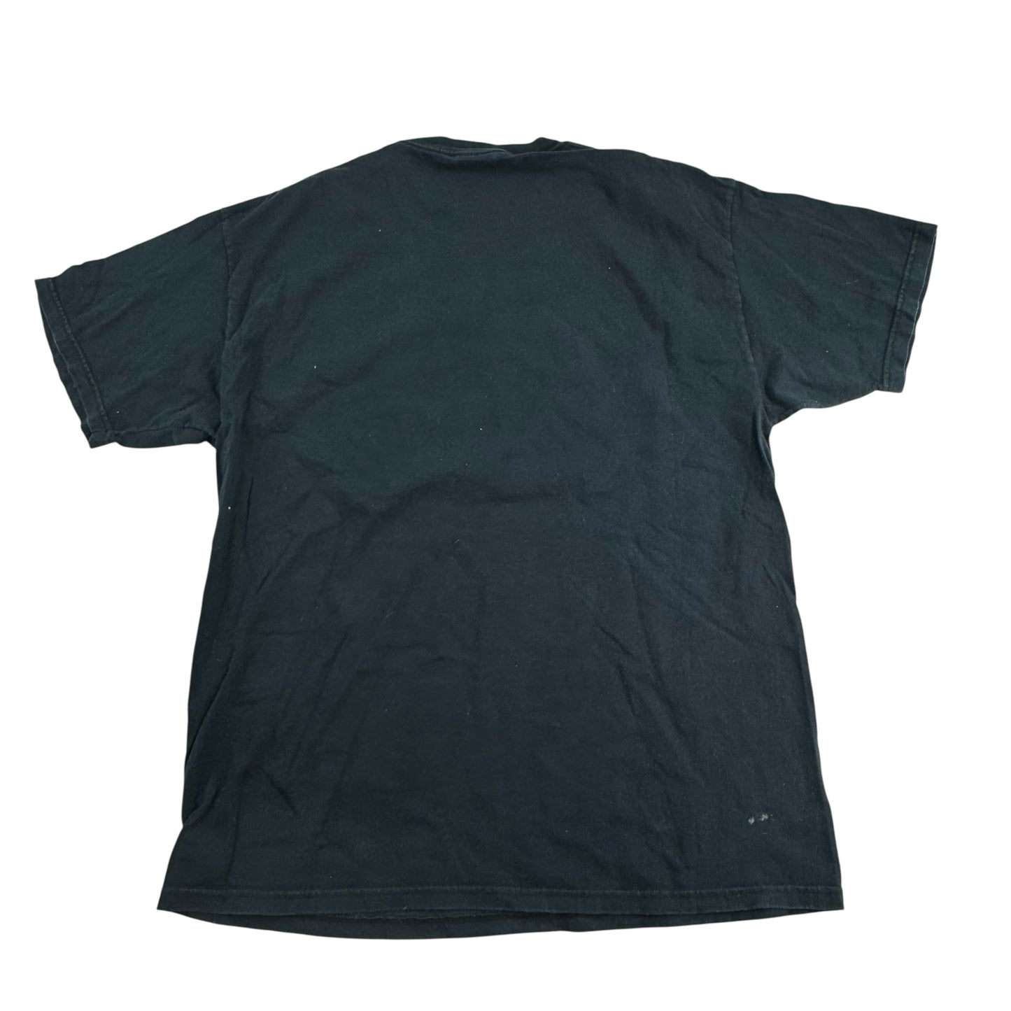 Vintage 2000s Most Precious Blood Shirt Large Born To Lose