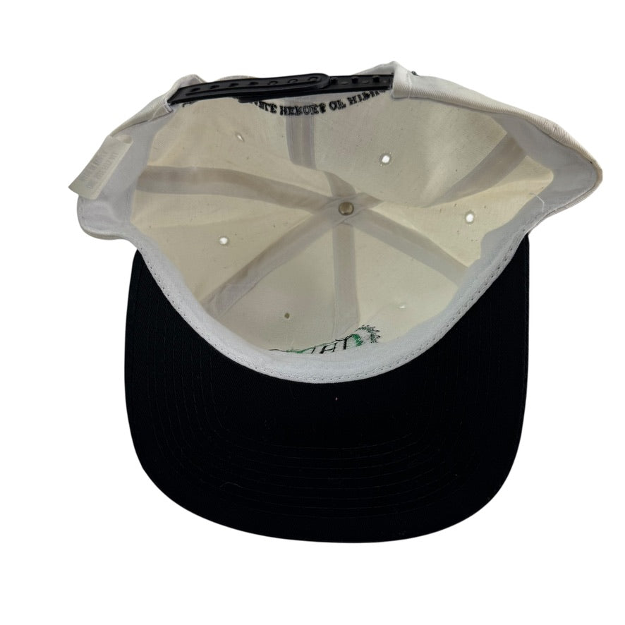 Vintage 90s The Disposable Heroes Of Hiphoprisy Hat