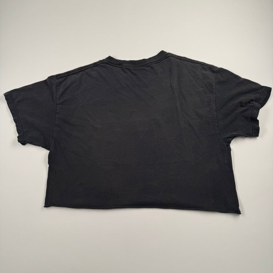 Vintage 90s Aerosmith Cropped Shirt Small Honkin