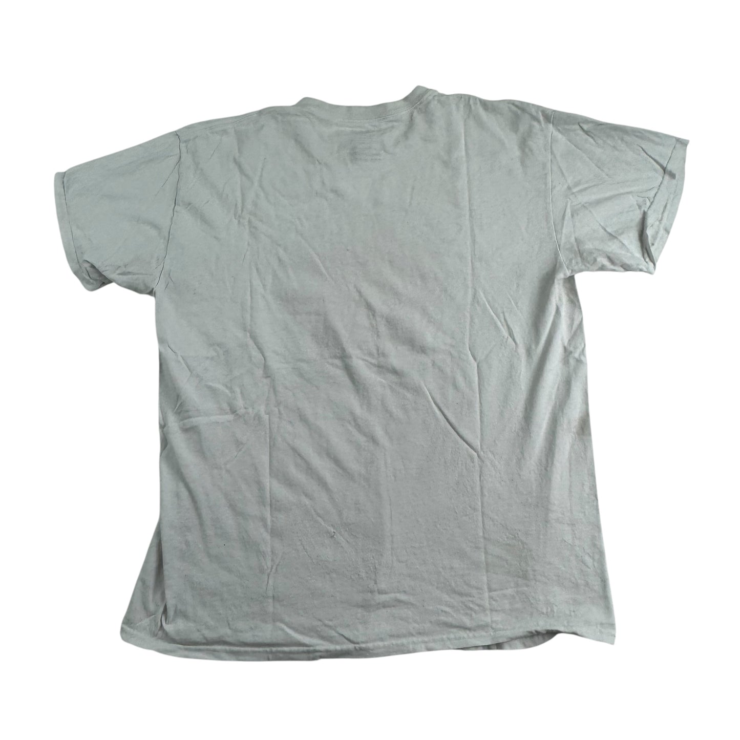 Abuse Of Power Shirt Large What On Earth Can We Do?