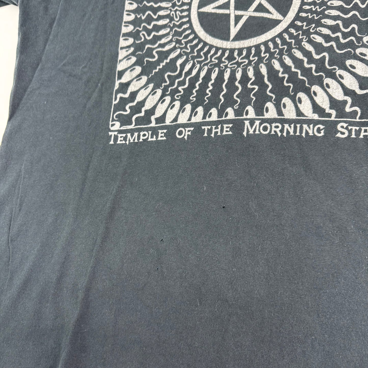Vintage 90s Today Is The Day Shirt XL Temple Of The Morning Star