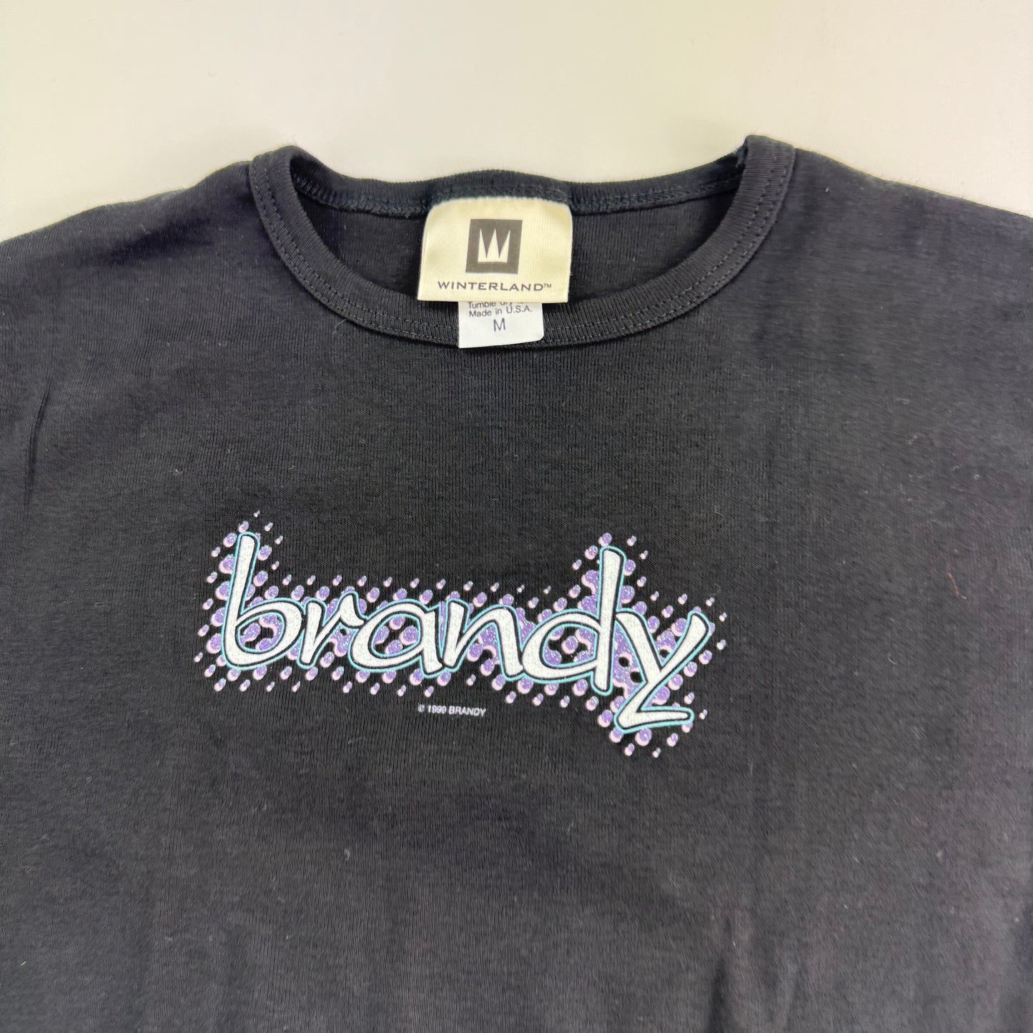 Vintage 1999 Brandy Women’s Shirt Medium