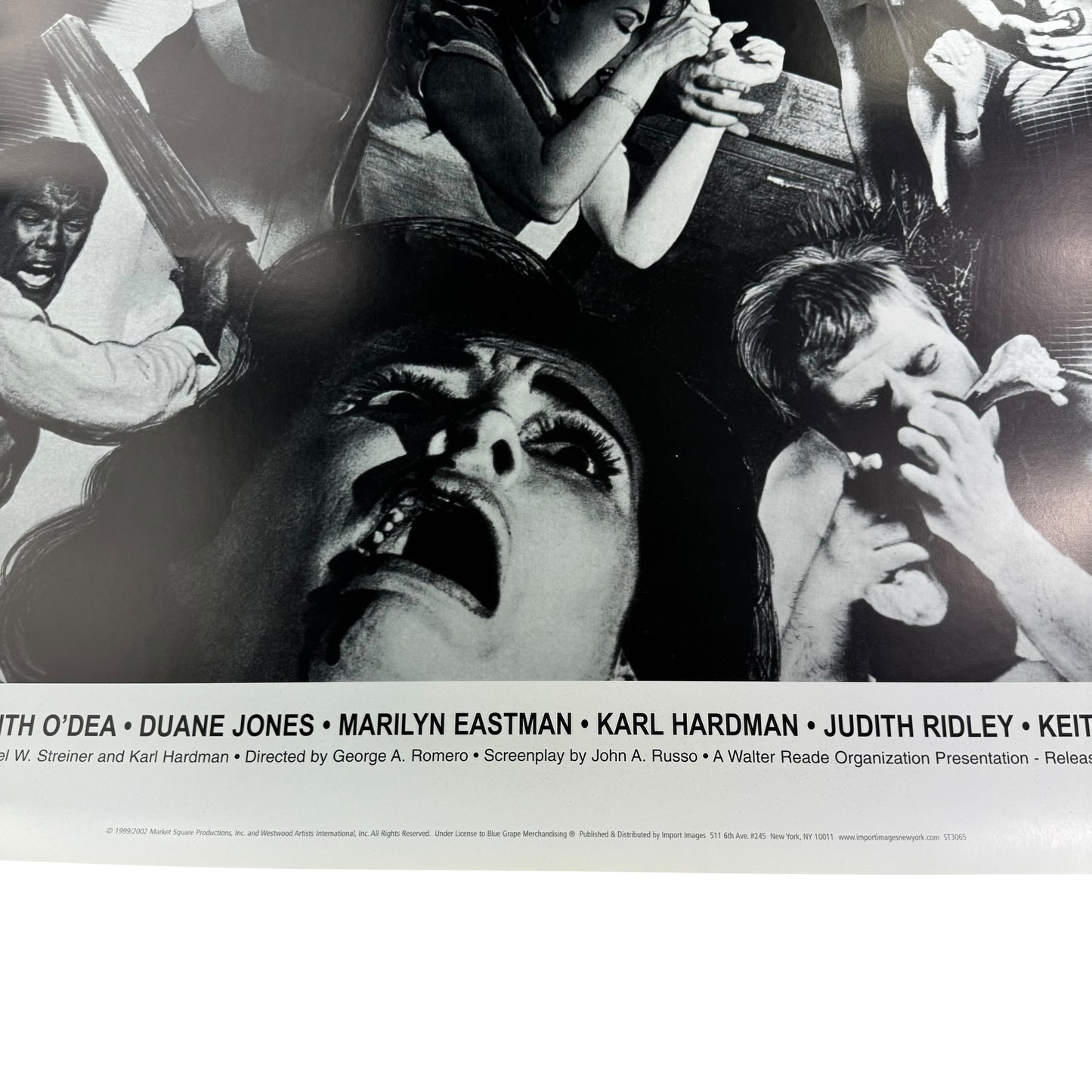 Vintage 2002 Night Of The Living Dead Poster