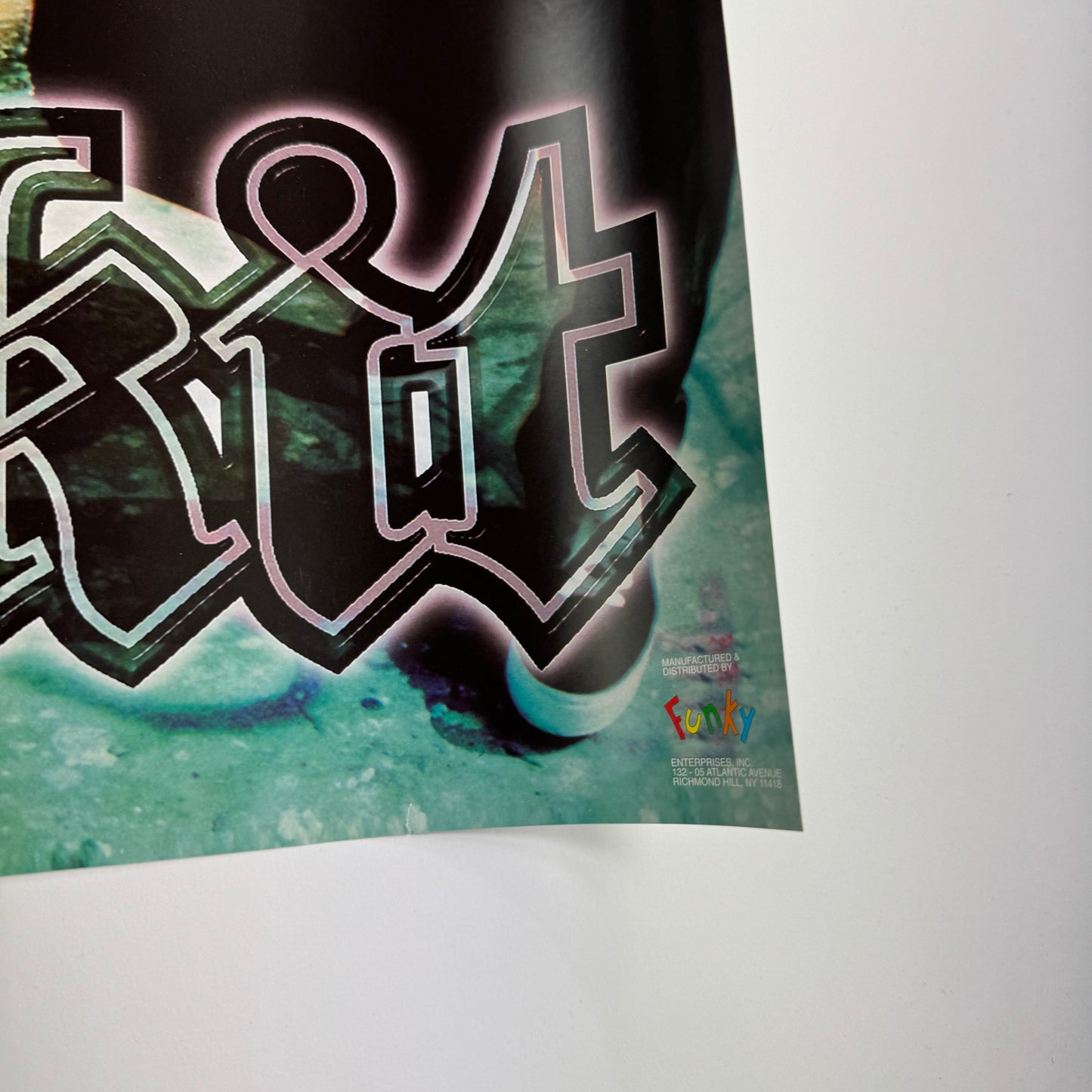 Vintage 1999 Limp Bizkit Poster
