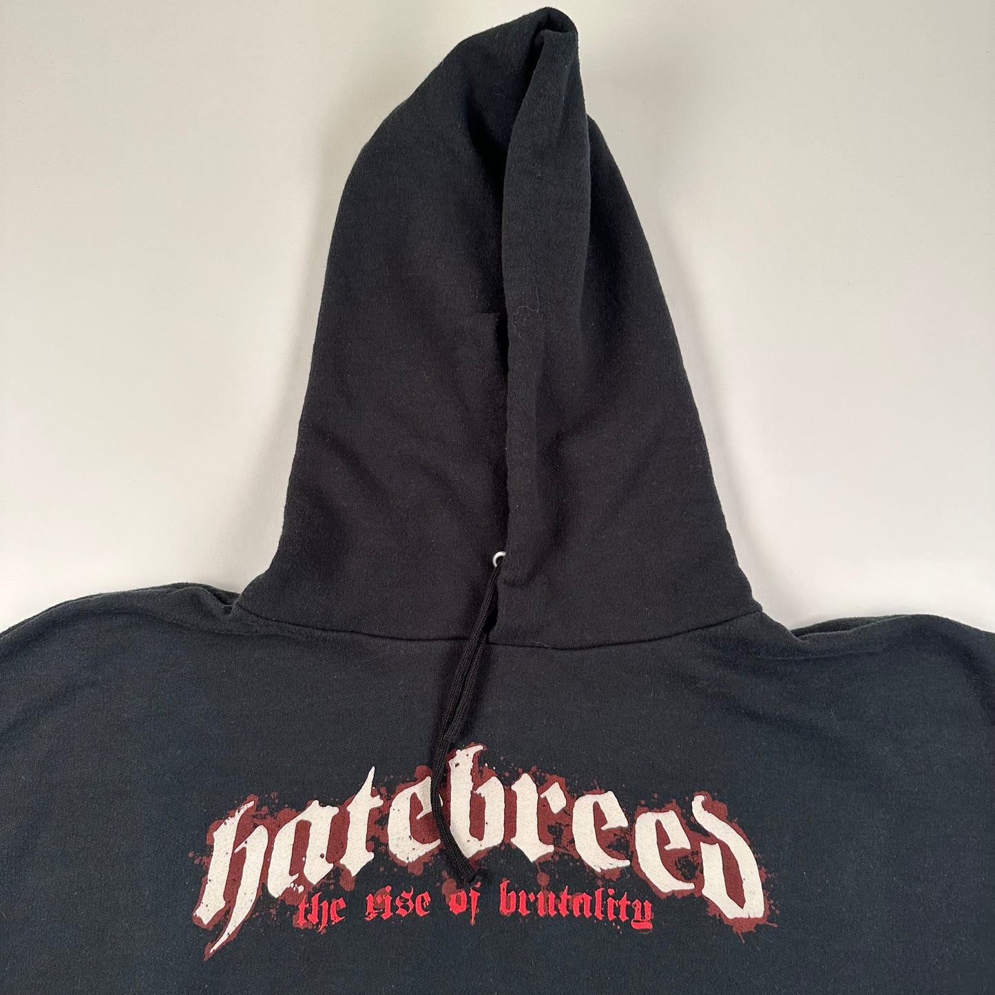 Vintage 2000s Hatebreed Sweatshirt Large The Rise Of Brutality