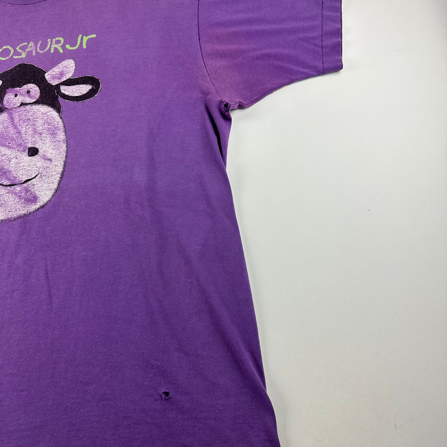 Vintage 90s Dinosaur Jr Shirt XL