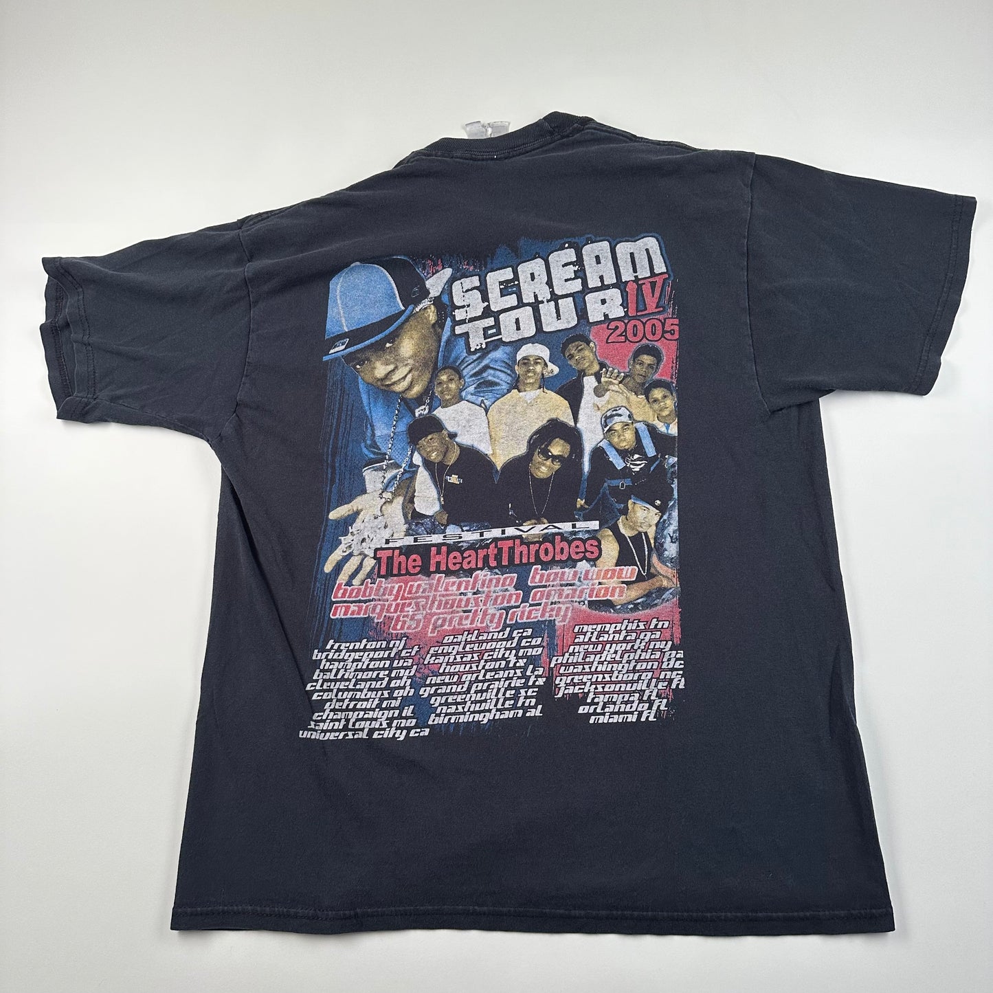 Vintage 2005 Scream Tour Shirt Large The HeartThrobes