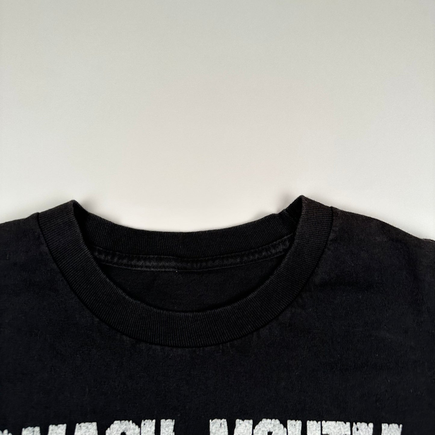 Vintage 2000s Smash Mouth Shirt Large Somebody Once Told Me