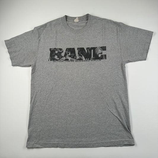 2000s Bane Shirt Large Within These Blessed Walls