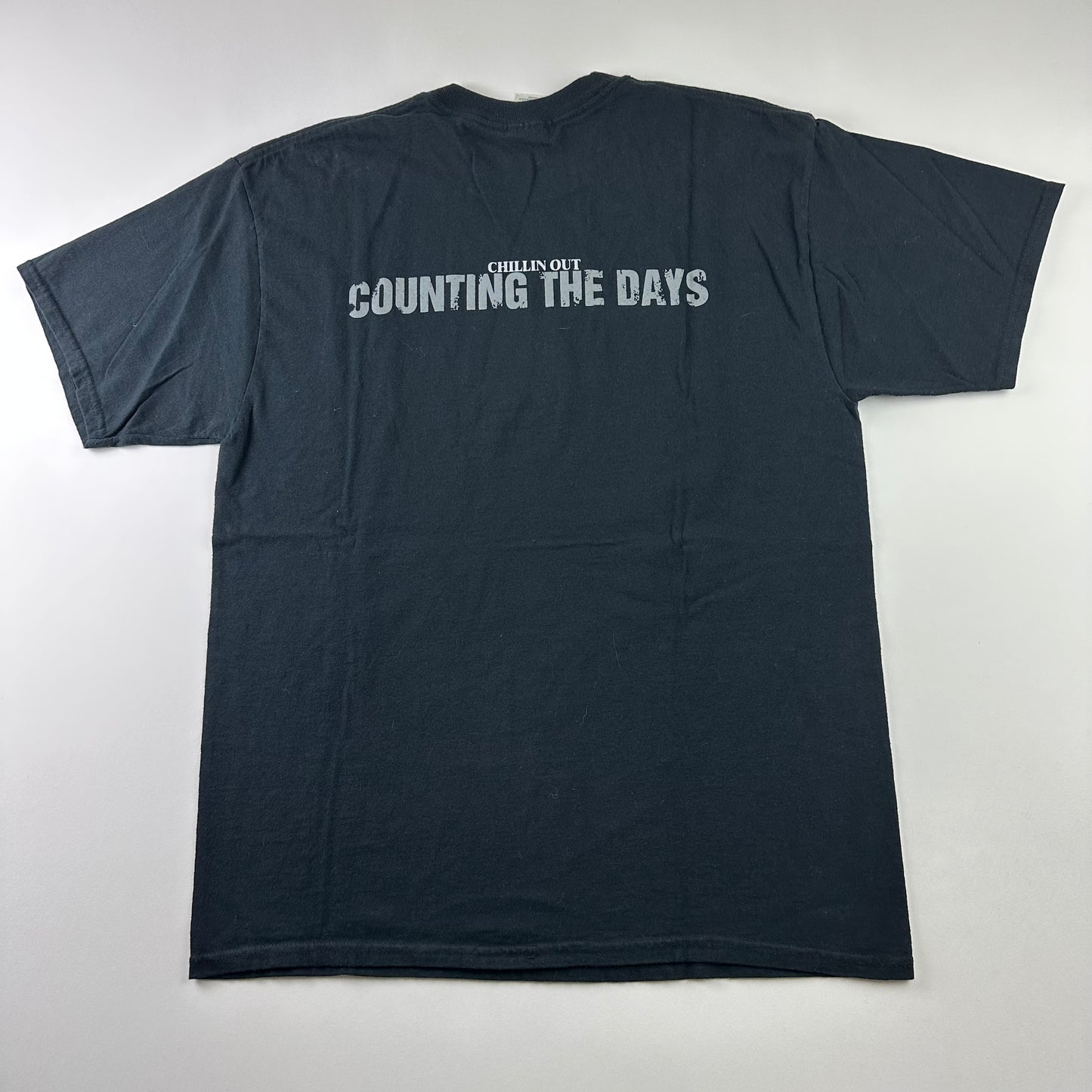 Vintage 2000s Counting The Days Shirt Large Chillin Out