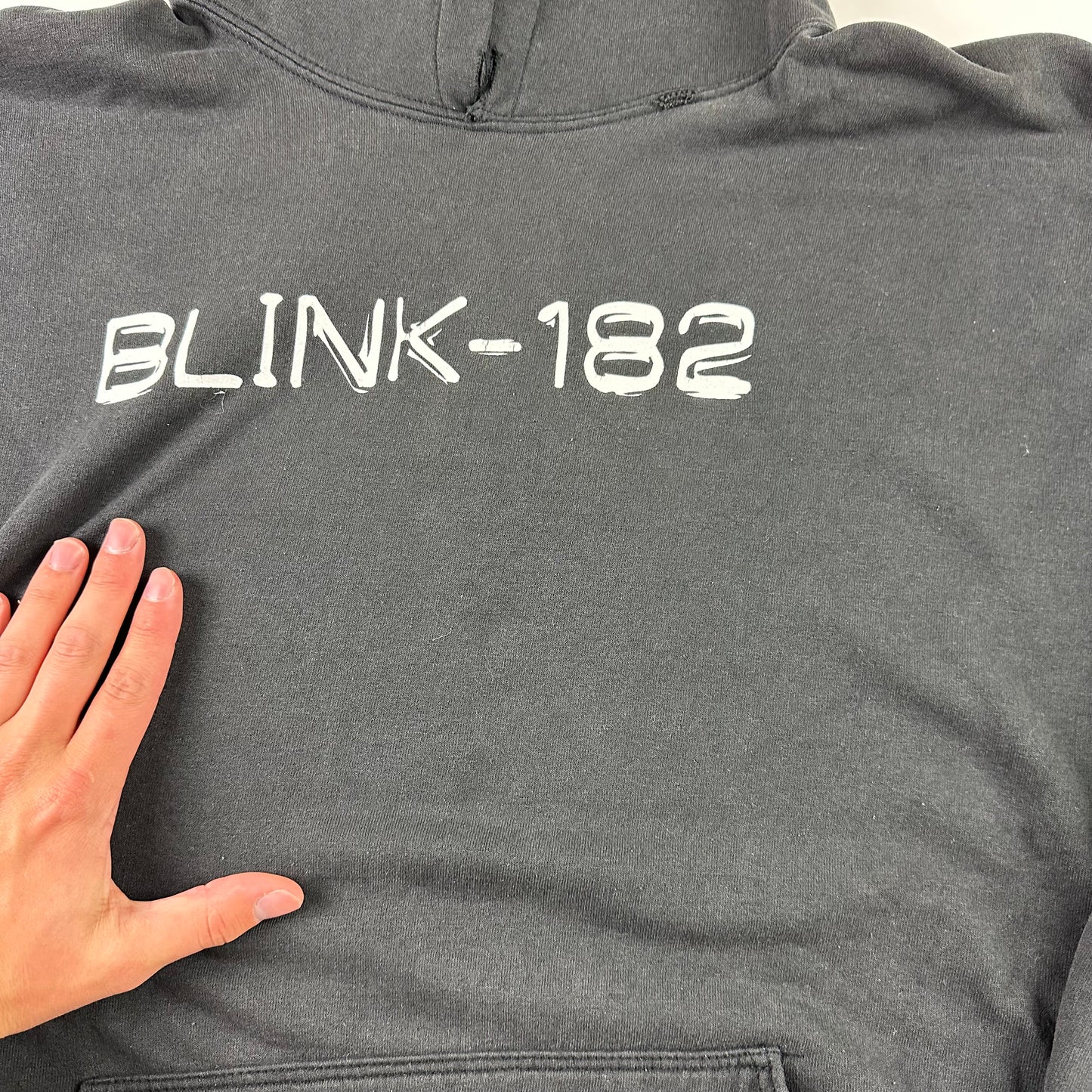 Vintage 2000s Blink-182 Sweatshirt XL Take Off Your Pants And Jacket