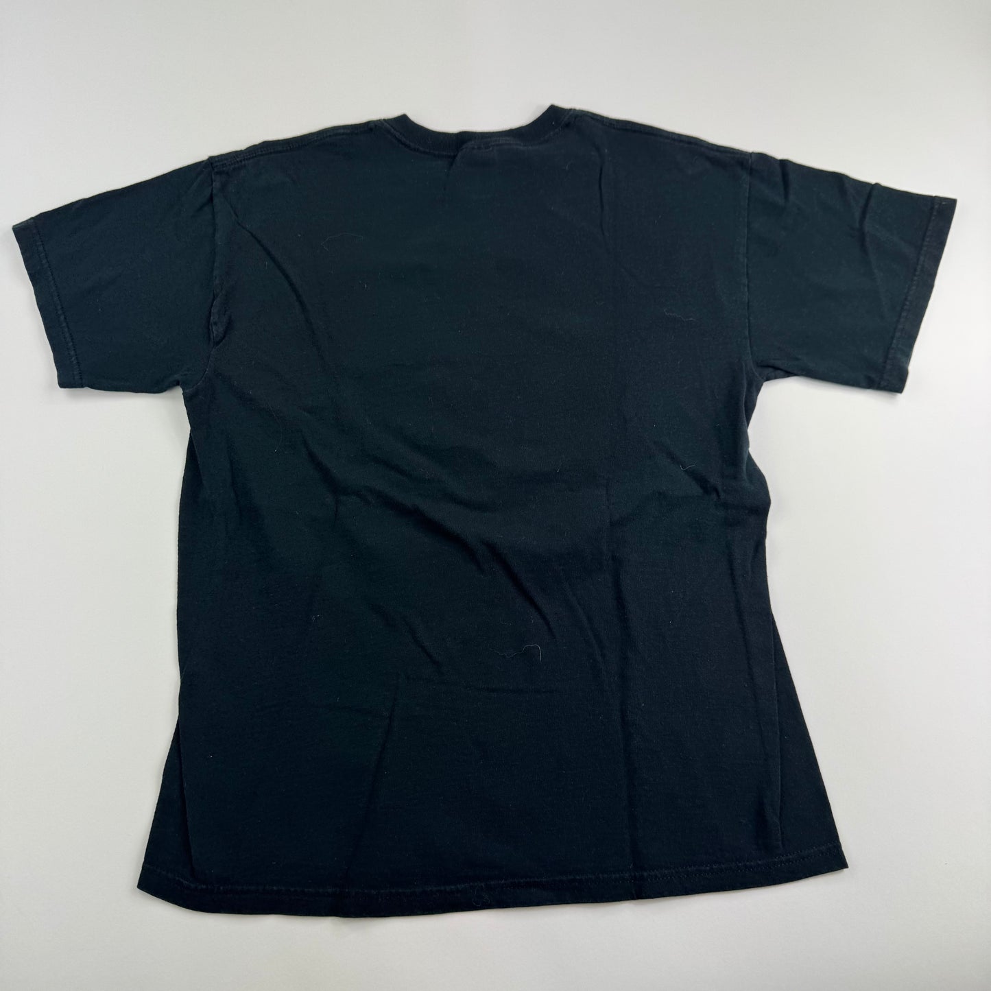 Rot In Hell Shirt Medium