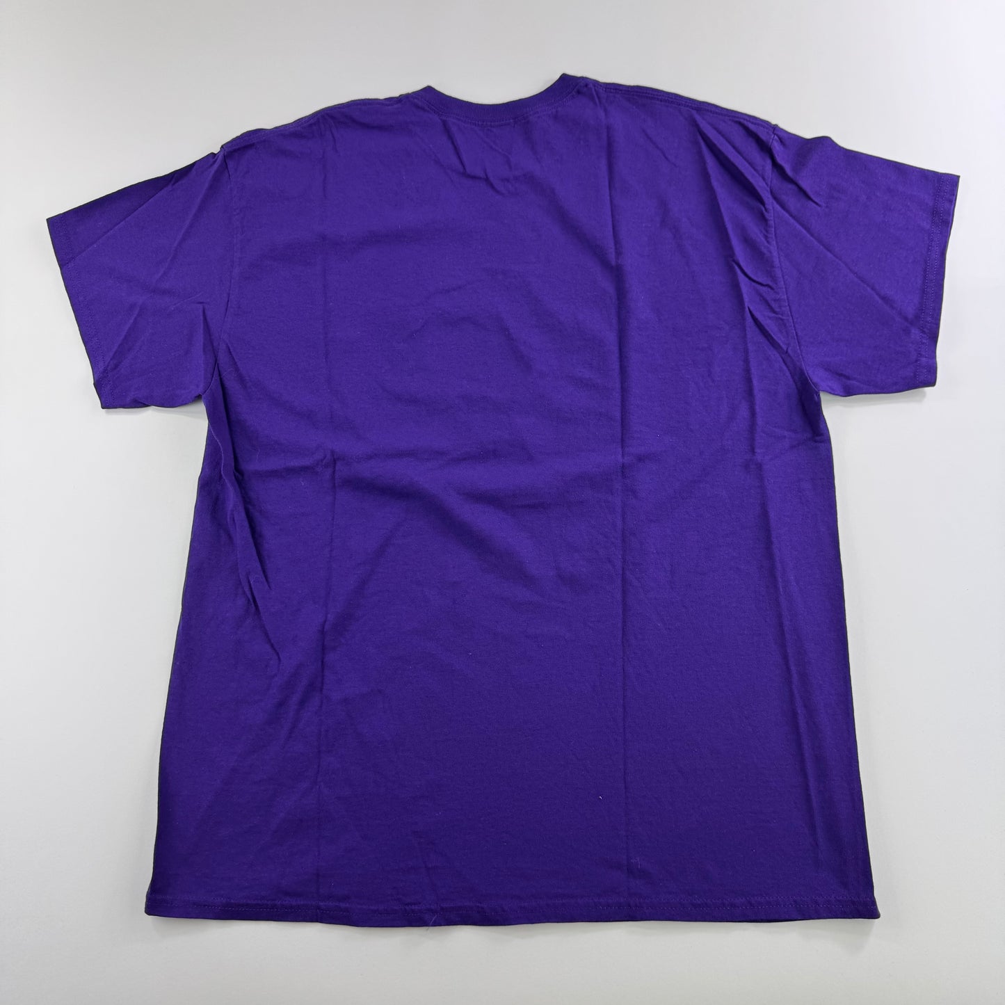 Tigers Jaw Shirt XL