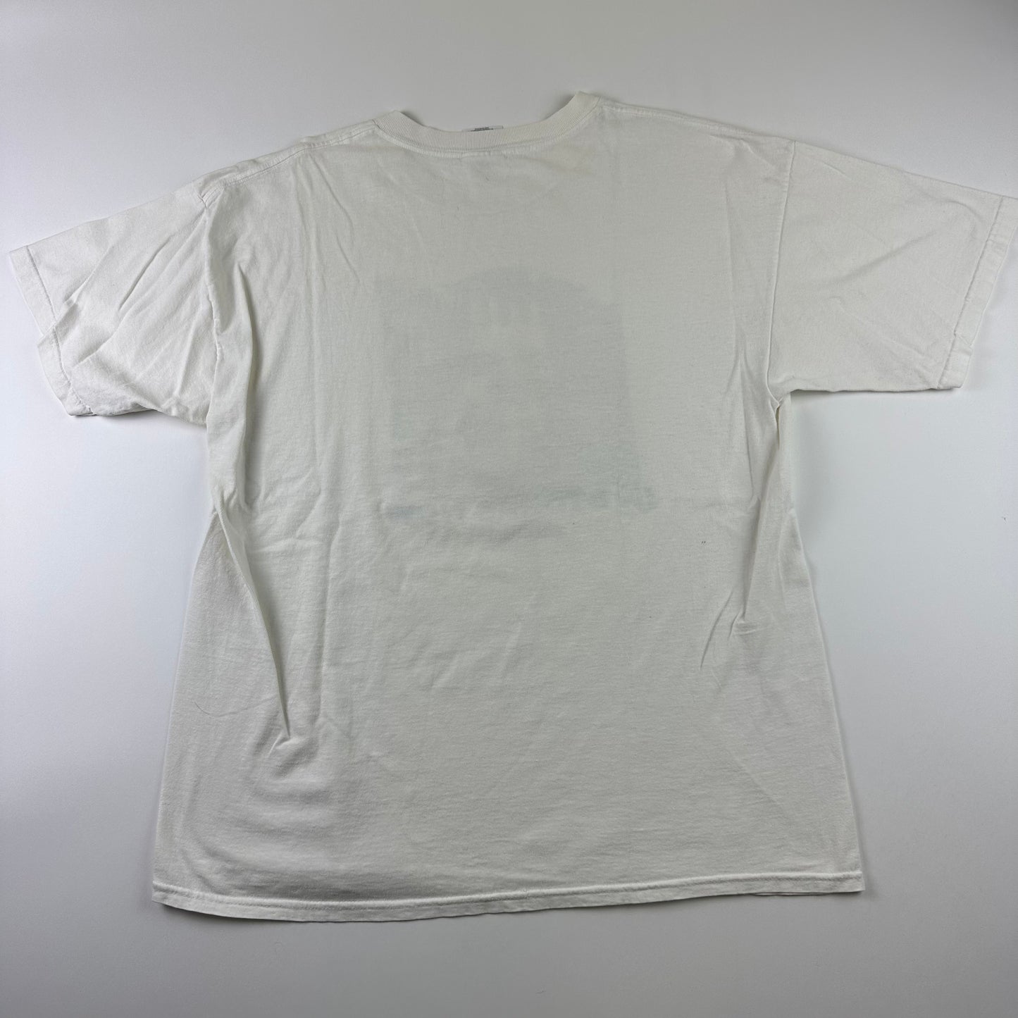 Vintage 1999 Nas Shirt XL I Am Album Promo