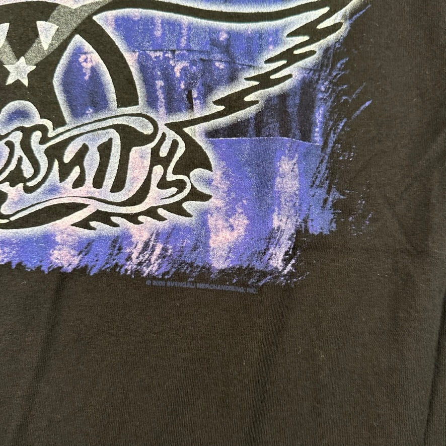 Vintage 2000s Aerosmith Shirt Medium Roller Coaster