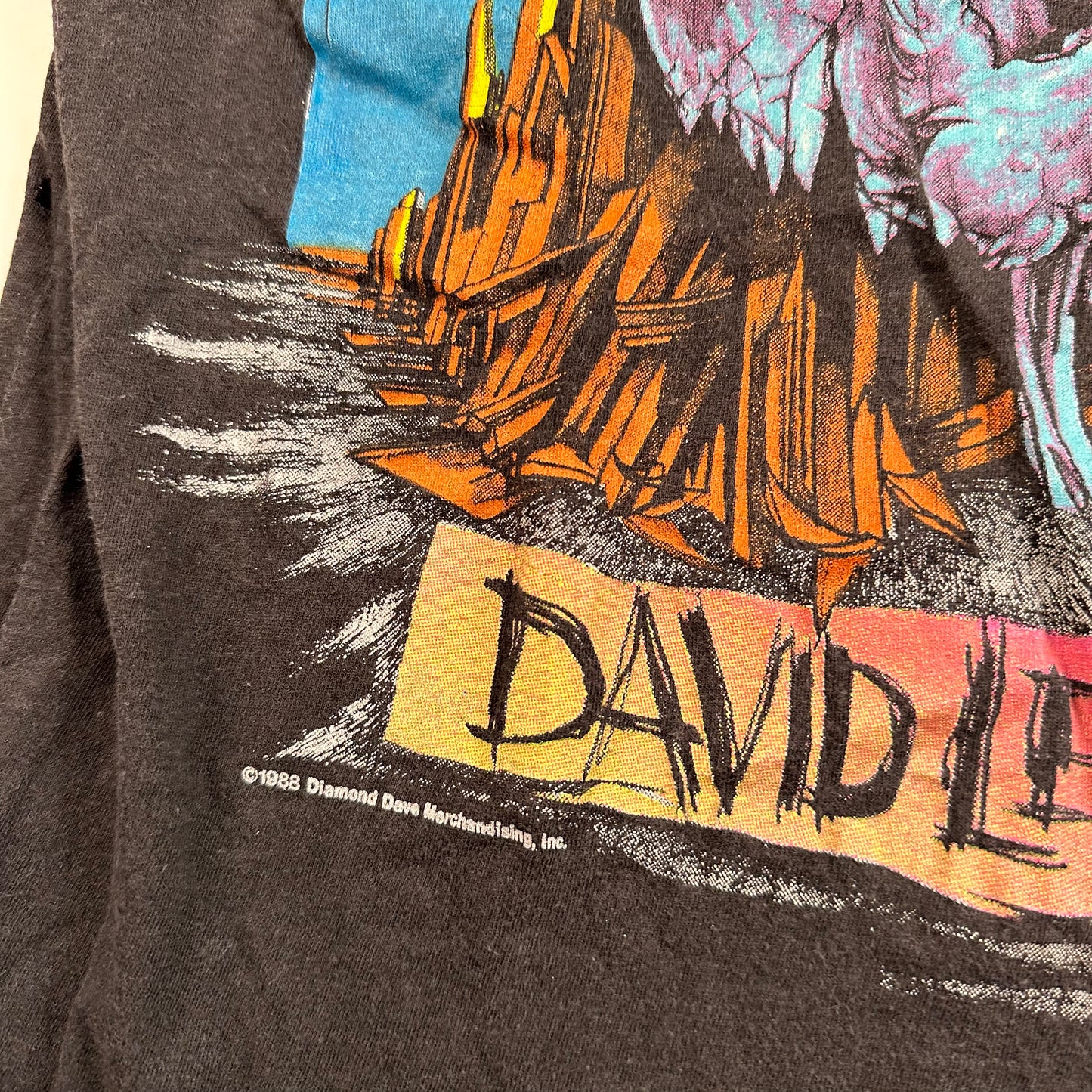 Vintage 1988 David Lee Roth Sleeveless Shirt Medium Skyscaper