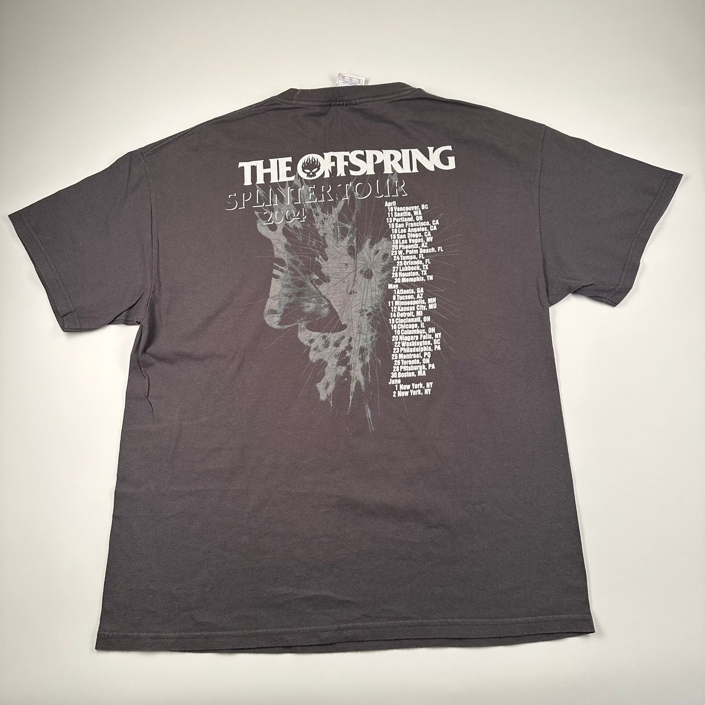 Vintage 2004 The Offspring Shirt XL