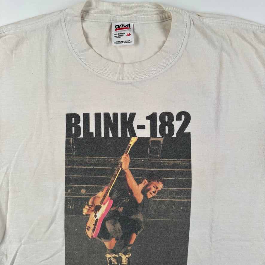 Vintage 2001 Blink 182 Shirt Medium Take Off Your Pants And Jacket