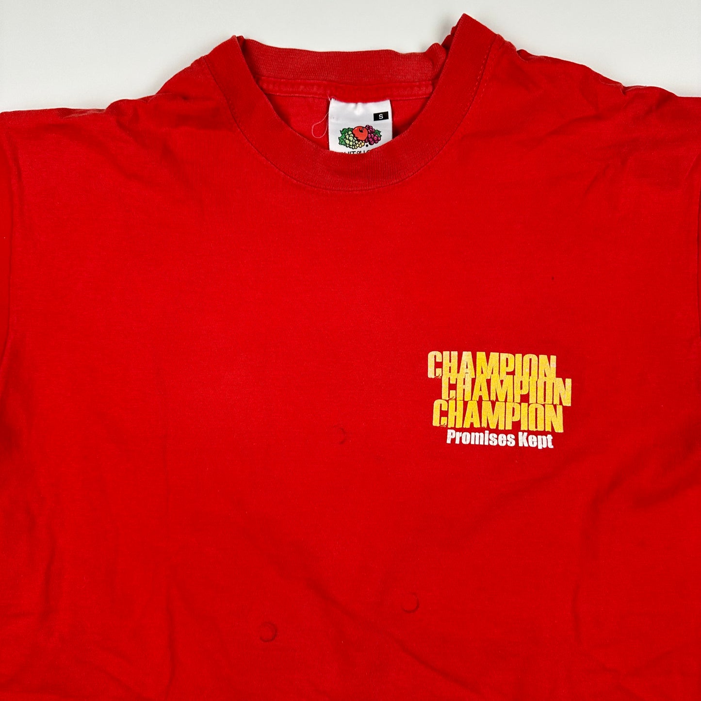 Vintage 2000s Champion Shirt Small Promises Kept