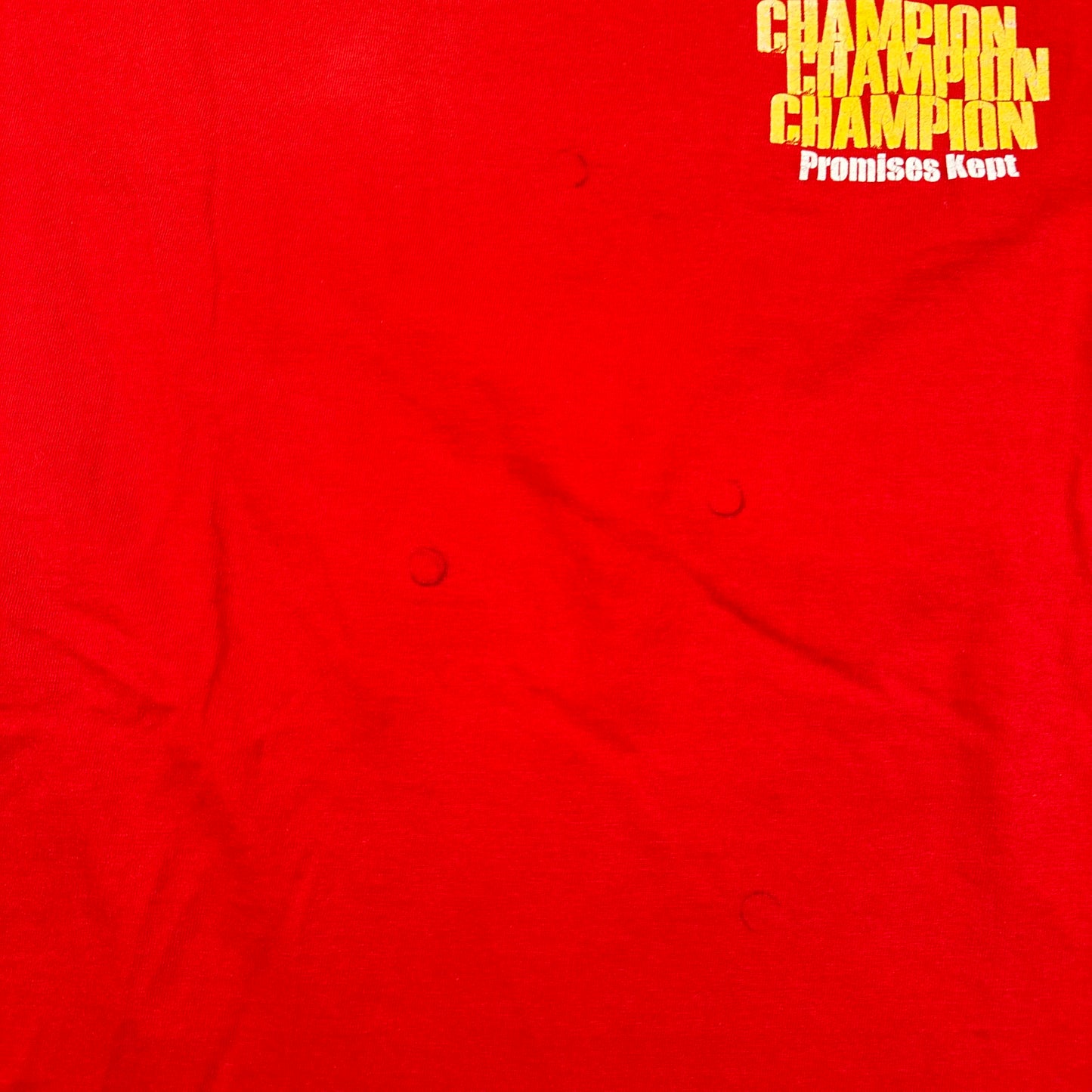 Vintage 2000s Champion Shirt Small Promises Kept