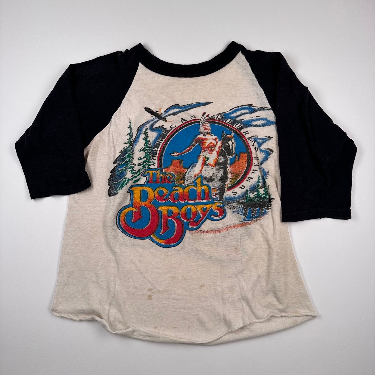 Vintage 70s The Beach Boys Shirt Medium The Endless Summer