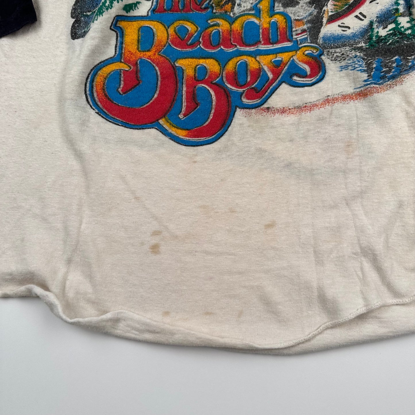 Vintage 70s The Beach Boys Shirt Medium The Endless Summer