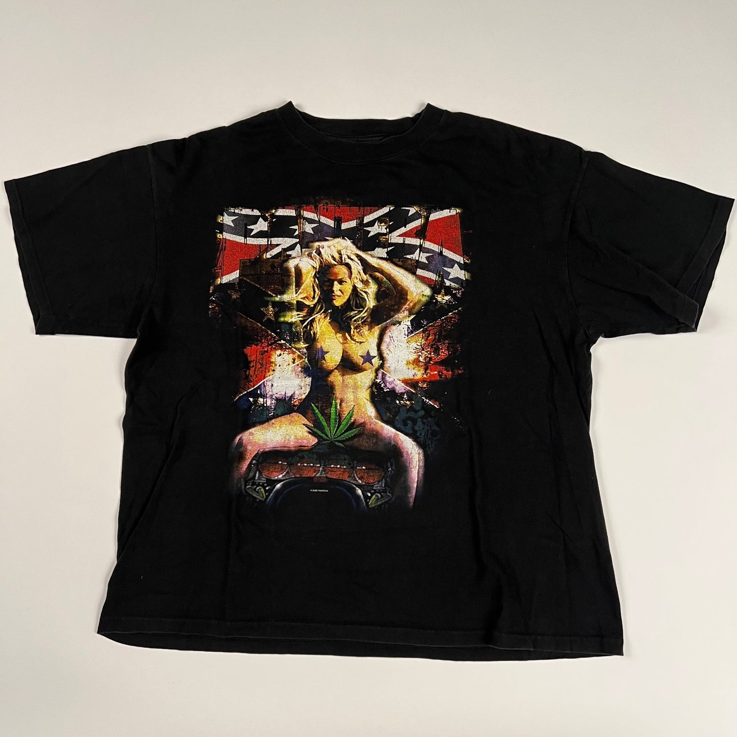 Vintage 2000 Pantera Shirt XL